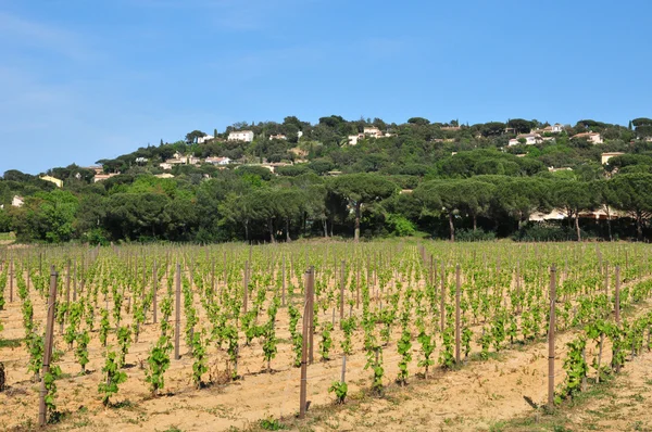 Gassin, Francia - 16 de abril de 2016: Bertaud Belieu propiedad — Foto de Stock