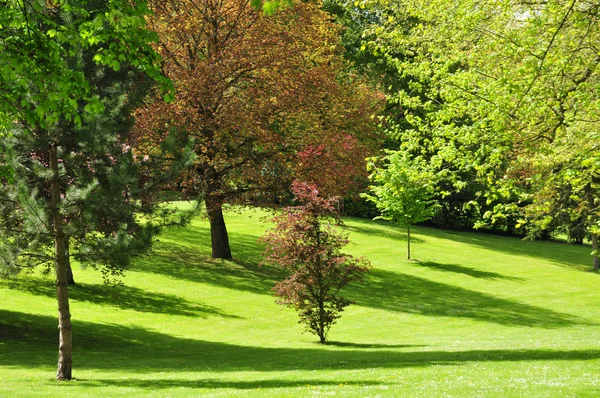 Poissy, Francia - 2 maggio 2016: il parco Messonnier — Foto Stock