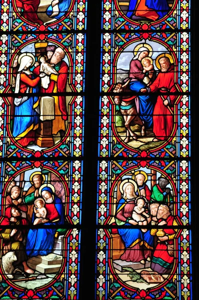 Dijon, Ranska - huhtikuu 22 2016: katedraali — kuvapankkivalokuva