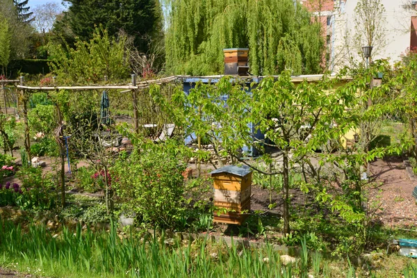 Verneuil sur Seine, Frankrike - mai 2 2016: tilldelning trädgården — Stockfoto