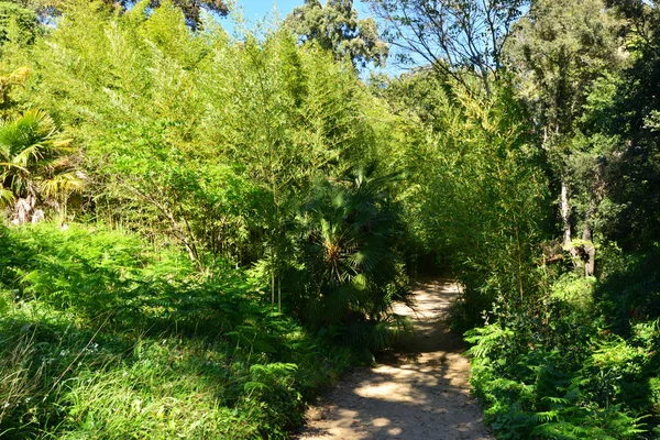 Rayol - april 18 2016: de tuin van landgoed Rayol — Stockfoto