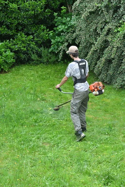 Verneuil sur Seine, France - june 27 2016 :cutting lawn in a gar — Stock Photo, Image