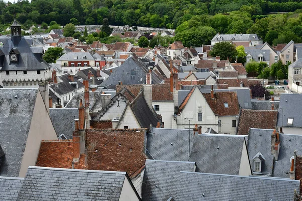 Loches Frankrike Juli 2020 Den Pittoreska Staden — Stockfoto