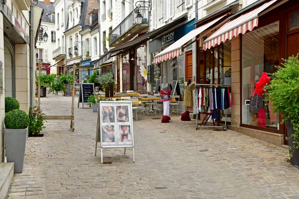 Loches France Juillet 2020 Ville Pittoresque — Photo