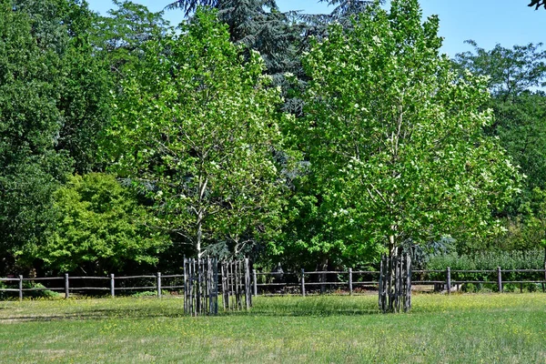 Poulaines Francia Julio 2020 Finca Poulaines — Foto de Stock