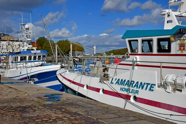 Honfleur Frankrike Augusti 2020 Båtar Hamnen — Stockfoto