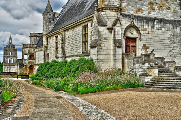 Loches Francie Červenec 2020 Zámek — Stock fotografie