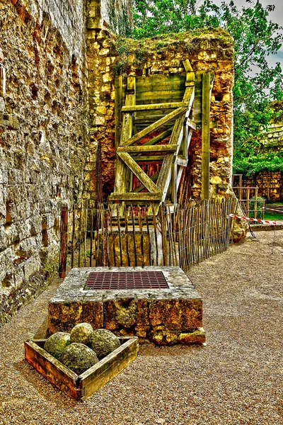 Loches France July 2020 Donjon — 图库照片