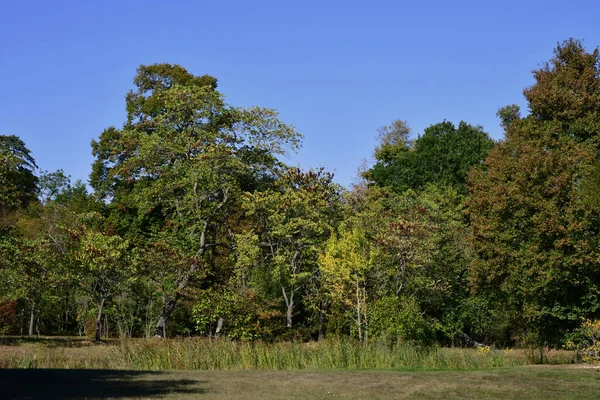 Versailles Frankrijk September 2020 Koninginnepark Landgoed Marie Antoinette Het Park — Stockfoto