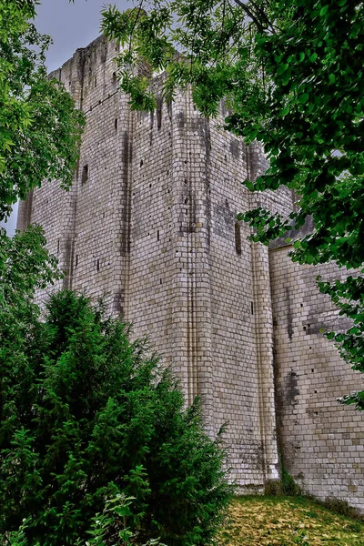 Loches Frankrike Juli 2020 Den Donjon — Stockfoto