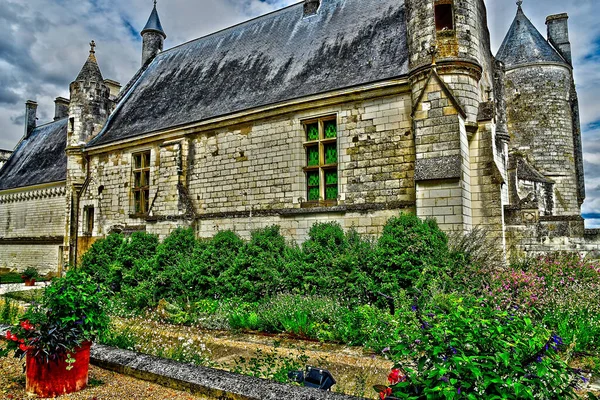 Loches France Juillet 2020 Château — Photo