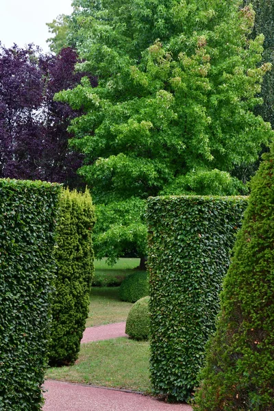 Vascoeuil Frankrijk Augustus 2020 Formele Tuin — Stockfoto