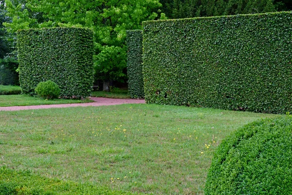 Vascoeuil Frankrijk Augustus 2020 Formele Tuin — Stockfoto