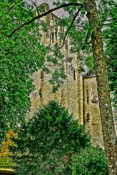 Loches Francia Luglio 2020 Donjon — Foto Stock