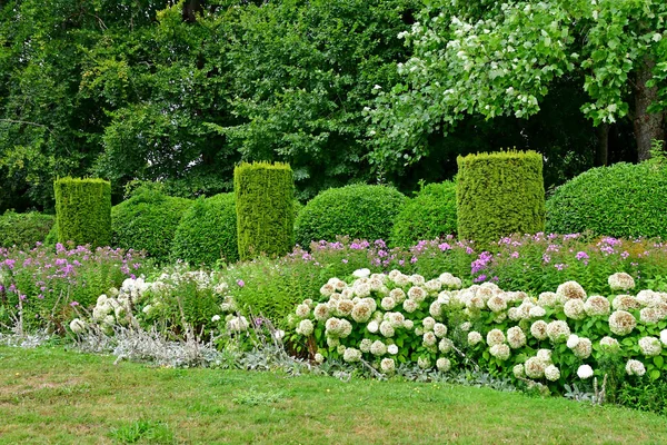 Vascoeuil Fransa Ağustos 2020 Resmi Bahçe — Stok fotoğraf
