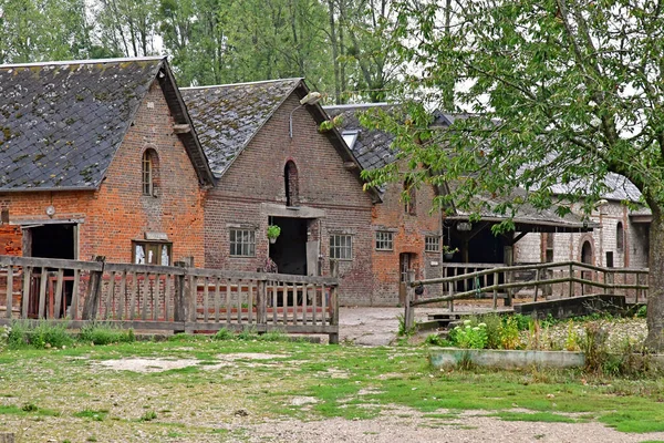 Bois Guilbert Frankrijk Augustus 2020 Ponyclub — Stockfoto