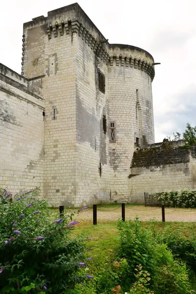 Loches Fransa Temmuz 2020 Donjon — Stok fotoğraf