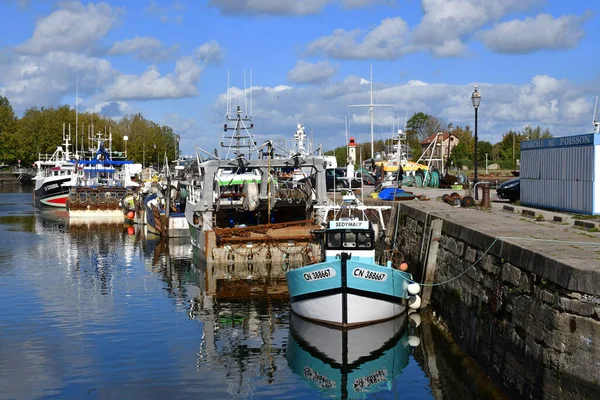 Honfleur Francie Srpen 2020 Lodě Přístavu — Stock fotografie