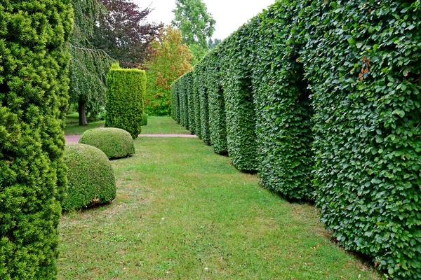 Vascoeuil Frankrijk Augustus 2020 Formele Tuin — Stockfoto