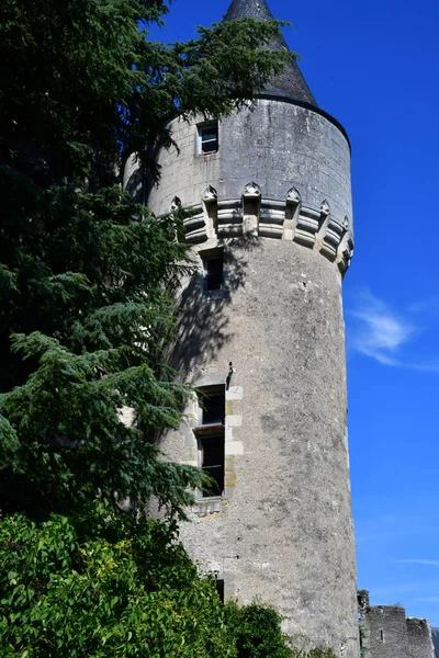 Montresor Frankrike Juli 2020 Det Historiska Slottet — Stockfoto