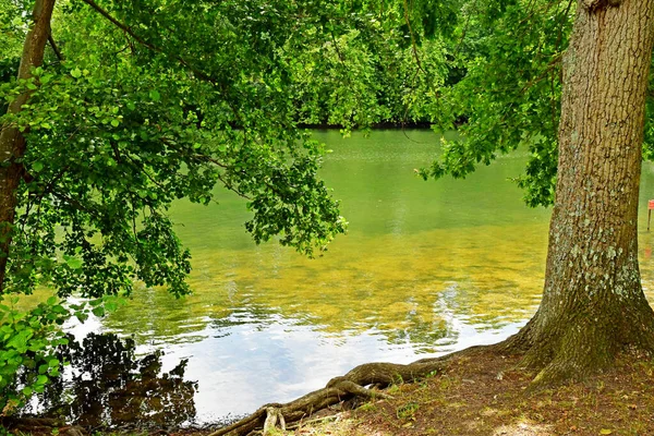 Olivet Francia Julio 2020 Los Bancos Loiret — Foto de Stock