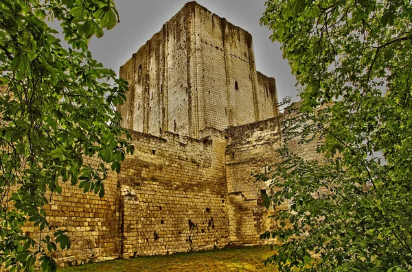 Loches 프랑스 July 2020 Donjon — 스톡 사진