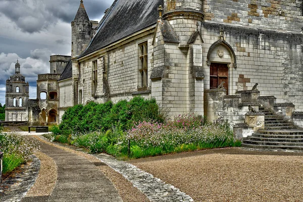Loches Frankreich Juli 2020 Das Schloss — Stockfoto