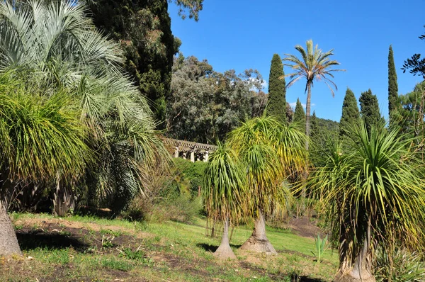 Rayol Canadel Sur Mer Francia Aprile 2016 Tenuta Rayol Garden — Foto Stock