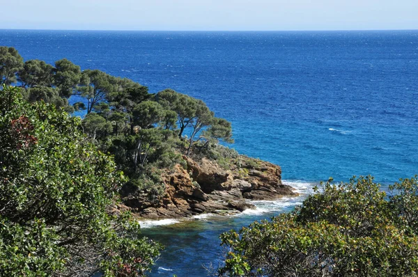 Rayol Canadel Sur Mer Francia Abril 2016 Finca Rayol Jardín — Foto de Stock