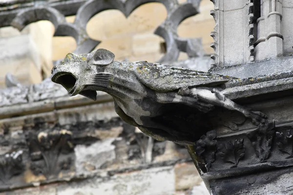 Mantes Jolie Frankrike Oktober 2016 Gargoyle Den Gotiska Kollegiala Kyrkan — Stockfoto