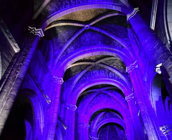 Poissy France August 2016 Sound Light Show Collegiate Church — Stock Photo, Image