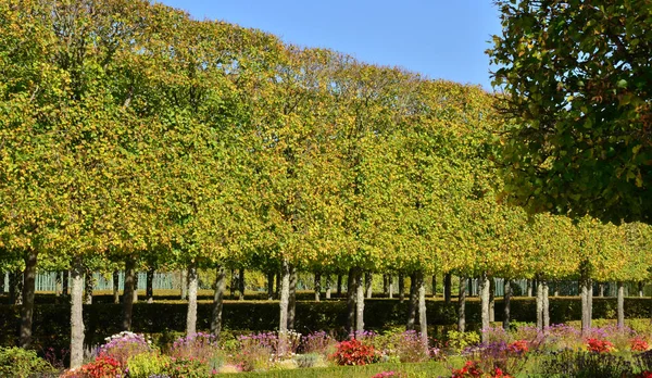 Ile France Marie Antoinette Estate Parc Versailles Palace — Stock Photo, Image