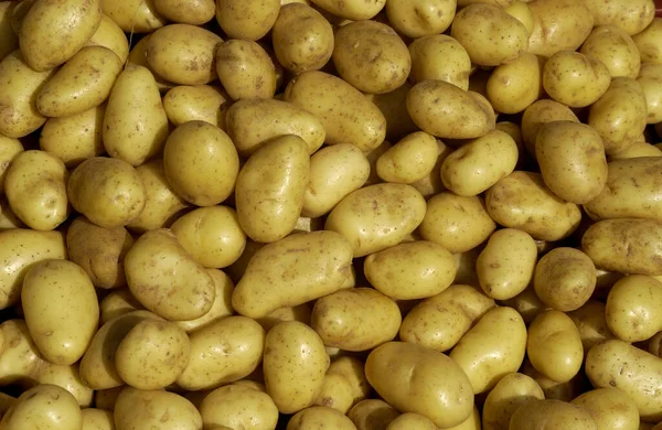 Kartoffelstand Auf Dem Markt — Stockfoto