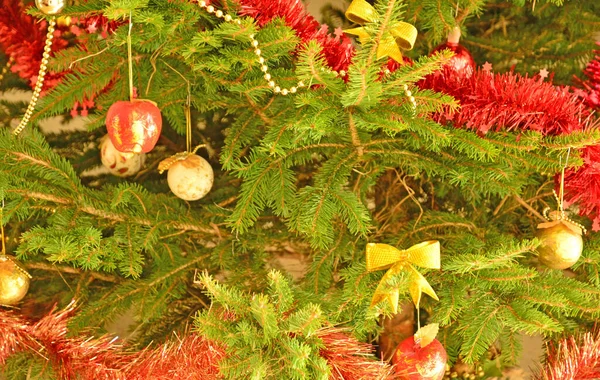 França Perto Uma Árvore Natal Uma Casa — Fotografia de Stock