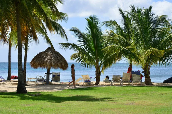 Martinik Park Sainte Anne Západní Indii — Stock fotografie