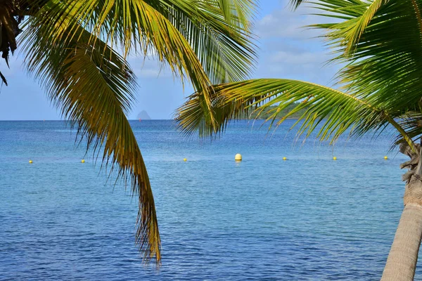 Martinique Sainte Annes Kust Västindien — Stockfoto