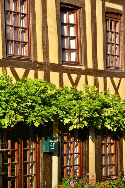 France Village Pittoresque Lyon Foret — Photo