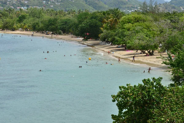 Martinique Pittoreske Kust Van Sainte Anne West Indië — Stockfoto