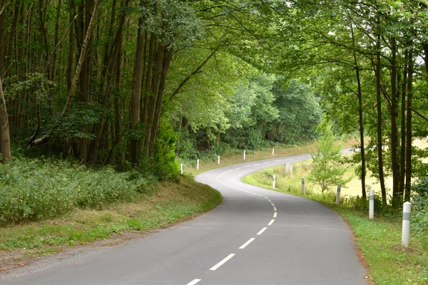 Dit Joli Village Frankreich August 2015 Wald Sommer — Stockfoto