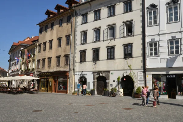 Slovénie Ville Pittoresque Historique Ljubljana — Photo