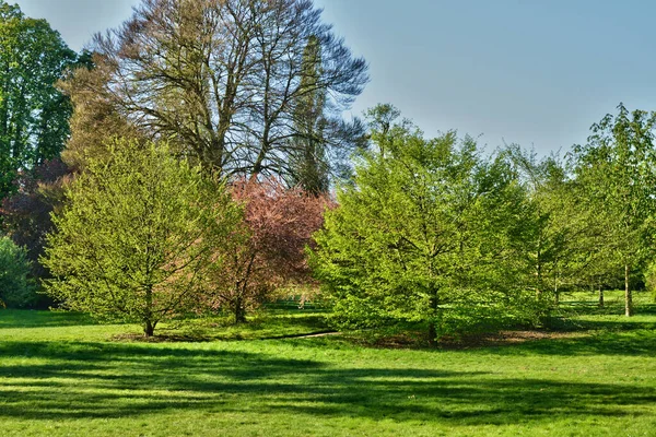 Ile France Den Pittoreska Slottsparken Saint Germain Laye — Stockfoto