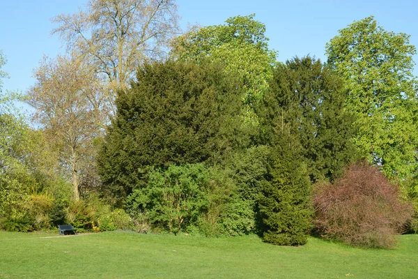 Ile France Pintoresco Parque Del Castillo Saint Germain Laye — Foto de Stock