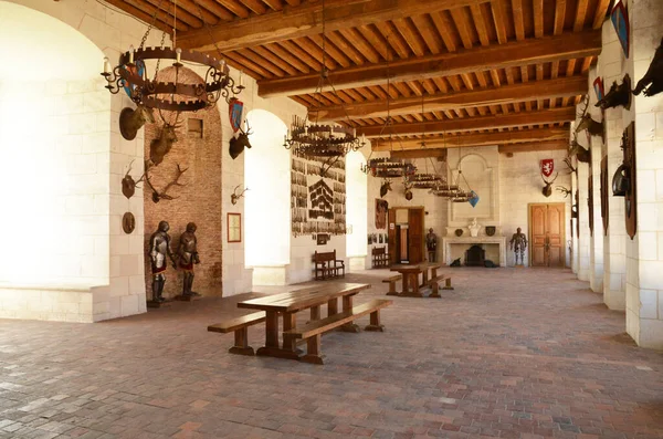 France Château Pittoresque Saint Fargeau — Photo