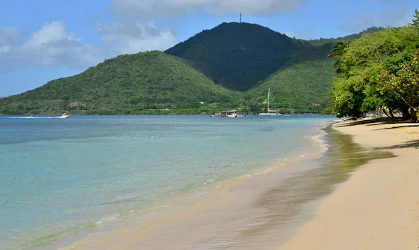 Martinique Batı Hint Adaları Ndaki Sainte Anne Sahili — Stok fotoğraf