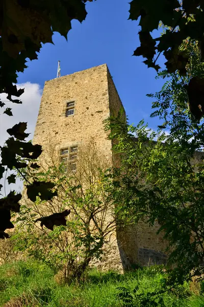 Ile France Das Malerische Schloss Von Chevreuse — Stockfoto