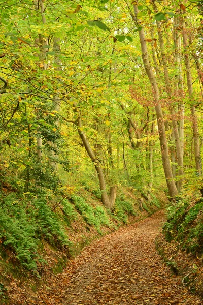 Ile France Sendero Pintoresco Valle Bazoches Sur Guyonne — Foto de Stock