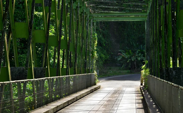 Martinique Pittoreske Brug Van Grand Riviere West Indië — Stockfoto