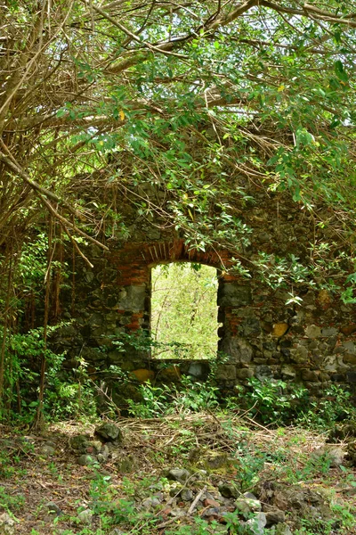 马提尼克岛 西印度群岛风景如画的杜布斯城堡废墟 — 图库照片