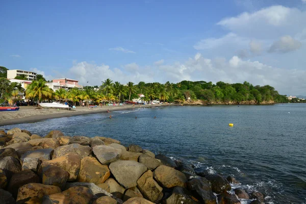 Schoelcher Martinique France Août 2015 Pittoresque Bord Mer — Photo