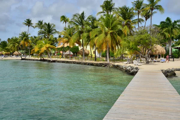 Martinique Die Malerische Küste Von Sainte Anne Westindien — Stockfoto